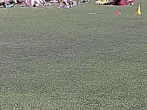 Los Monos canchas de futbol - 1