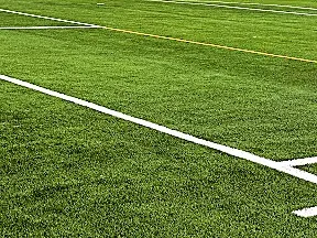 Campo de Fútbol Municipal “La Celadilla”. - 1