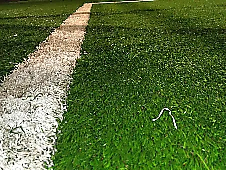 Le 13 - Foot en salle - Marseille - 1