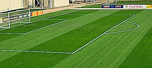 POWERgrass S.r.l. Società Benefit - 1