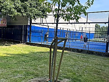 Sport Promotion Comasina - 1