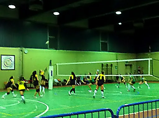 Sports Ground Luigi Carraro - 1