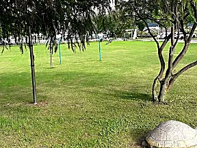 Zona sportiva Silandro - 1