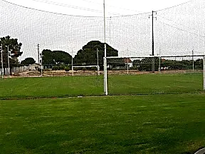 Campo da batata - 1