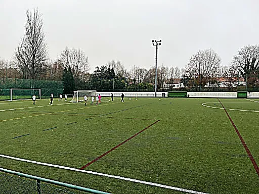 Synthetic Viso field - 1