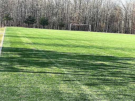 Bloomingdale Park - 1