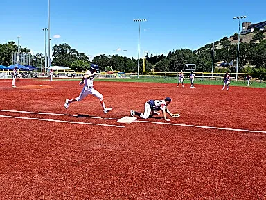 Lithia & Driveway Fields - 1