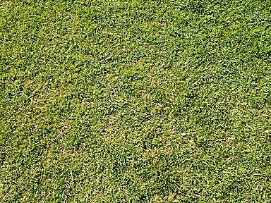 Phoenix Events Complex - 1