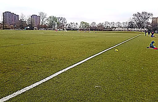 Randall’s Island Field #85 - 1