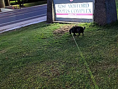 Rose Mofford Soccer field 1 - 1