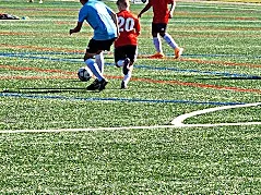 SBLI Fields At Progin Park - 1